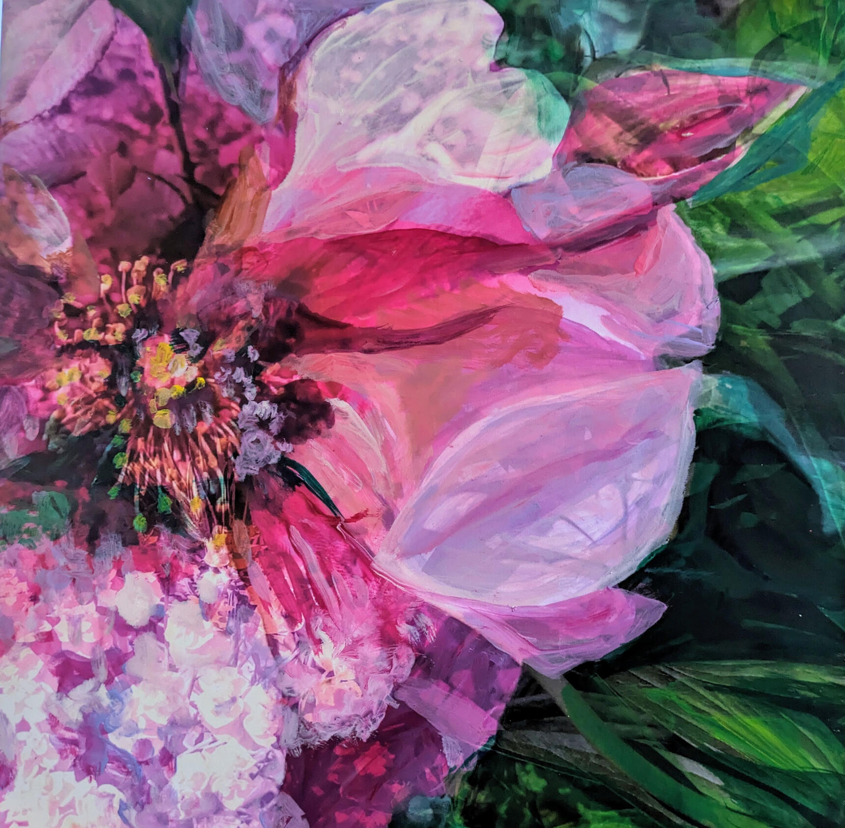 Rosa Blüte, 30x30cm